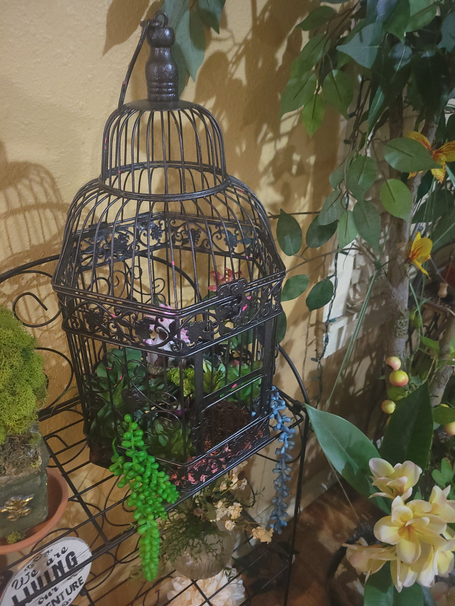 Antique Iron Birdcage upcycled into terrarium