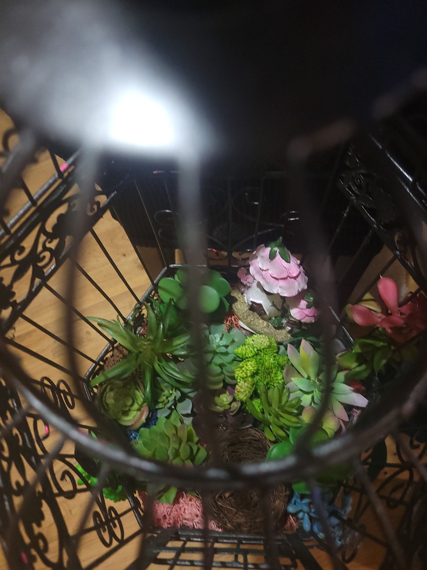 Antique Iron Birdcage upcycled into terrarium